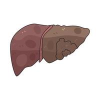 bad liver illustration vector