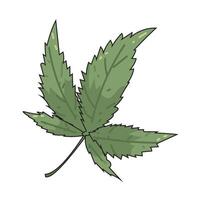marijuana leaf illustration vector