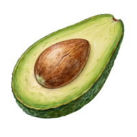 Watercolor illustration of a ripe avocado half with seed isolated on transparent background png