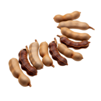 Tamarind pods arranged in a curve isolated on transparent background png