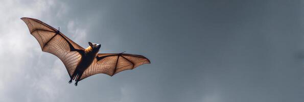 Fruit Bat Soars Gracefully Under a Moonlit Sky With Wings Widely Spread Showcasing Its Majestic Flight photo
