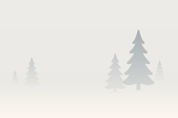 Serene Winter Landscape with Frosty Trees in Soft Fog Atmosphere