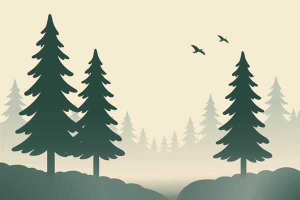 Serene Landscape with Evergreen Trees and Flying Birds at Dusk