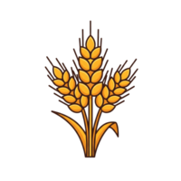 Golden Wheat Stalks Icon Graphic Design isolated on a transparent background yellow png
