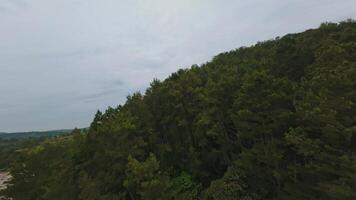 Aerial View of Lush Green Forest Under Cloudy Sky video