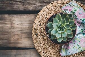 Rustic Wooden Background with Succulent Plant in Pot and Woven Placemat. A charming still life image perfect for blogs, websites, or home decor projects. photo