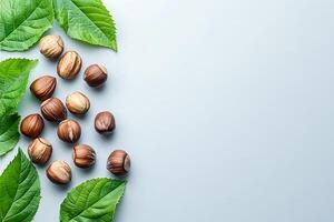 Hazelnuts and Leaves A Natural Food Image with Copy Space. photo