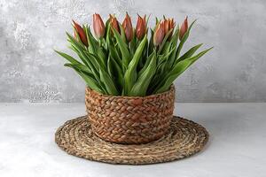A Bouquet of Brown Tulips in a Woven Basket on a Rustic Surface. photo