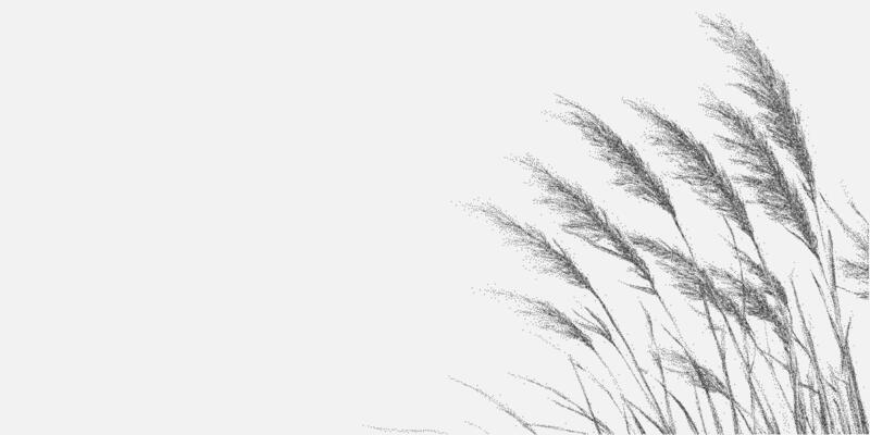 Field of tall grass with a white background, scattered throughout the field. Retro pop art stipple sketch, paper photocopy texture, threshold.