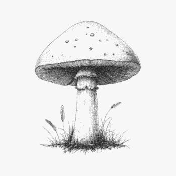 Mushroom on the grass. Classic stipple pen drawing with noisy pattern. Paper photocopy texture and threshold grain, retro underground prints. vector