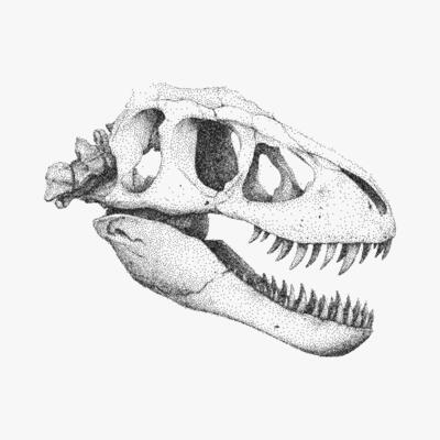 Dinosaur skull, stipple pen illustration with threshold shadows and gritty halftone noise, vintage paper photocopy texture, nostalgic feel.