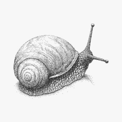 Tiny snail, detailed stippled artwork with visible paper photocopy grain, halftone dot shading and threshold edges for raw retro zine style.