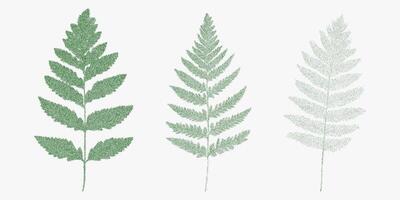 Three green fern leaves. Monochrome retro sketch with stipple ink texture and rough photocopy grain. Threshold and gritty halftone dots. vector