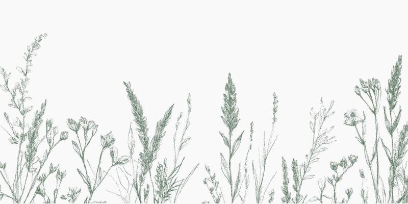 Row of green plants with many leaves. Aged stipple drawing with classic halftone texture, threshold and xerox paper effect, retro punk collages.