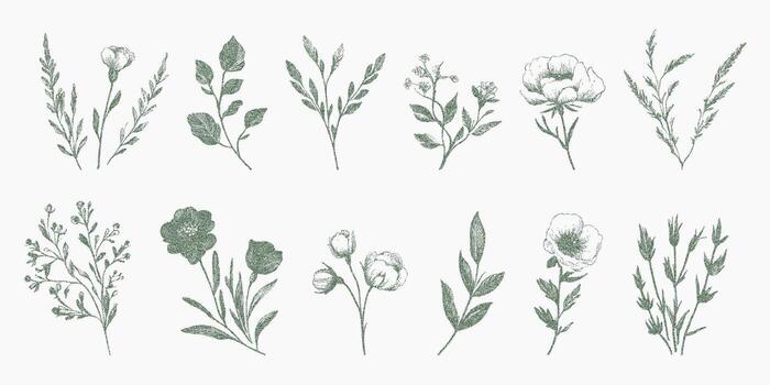 Set of different types of green leaves. Retro stipple drawing with halftone dots, noisy photocopy threshold lines, authentic vintage zine. vector