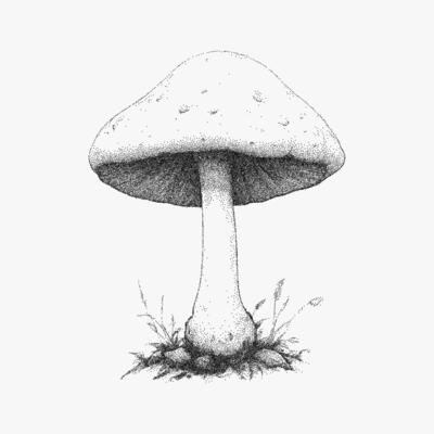 Mushroom on the ground. Stipple artwork with strong threshold contrast, halftone dots and paper photocopy noise, old lofi zine aesthetics.
