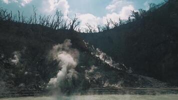 Dramatic Volcanic Landscape with Steam and Barren Trees video