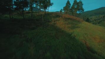 Tranquil Hillside Landscape with Trees and Blue Sky video