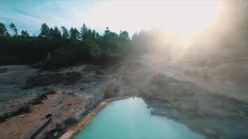 Sunlight Streaming Through a Lush Forest video