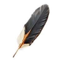 Decorative Tribal Feather Isolated on Transparent Background png