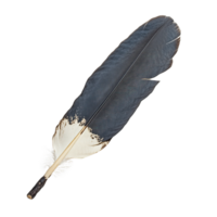Spiritual Feather with Dark Plume Isolated on Transparent Background png