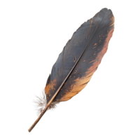 Traditional Wedding Feather Isolated on Transparent Background png