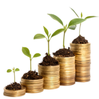 Growing Investment Plants Sprouting from Coin Stacks Symbolizing Financial Growth and Prosperity Transparent Background png