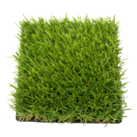 Lush Artificial Turf Square Vibrant Green Grass Patch for Landscaping and Outdoor Decor on Transparent Background png