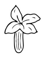 Lavender flower petal in doodle style. Floral hand drawn element for design painted by ink. vector