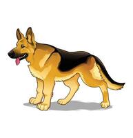 Illustration of a German Shepherd dog vector