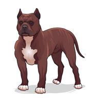 Brown dog illustration, strong and loyal vector