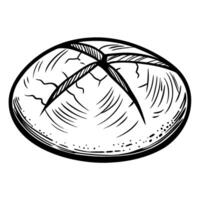 Hand drawn rustic round bread loaf illustration artisan crust, baked food, bakery item, fresh homemade bread vector