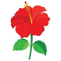 Hawaiian Bloom Vectors Designs