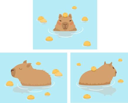 Cute Capybara design set. Capybara in Japanese Onsen hot spring. Capybara floating in the water and oranges. Kawaii drawing, funny illustration vector