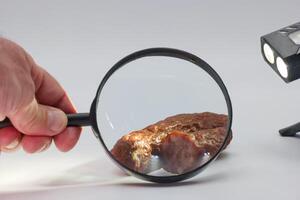 Investigating surface details of a meat sample using a magnifying glass in a controlled environment photo