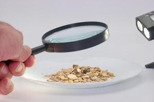 Exploring the details of grains using a magnifying glass in a laboratory setting photo