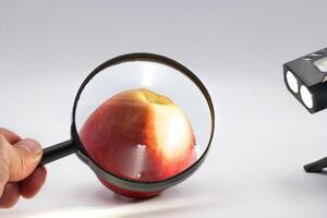 Exploration of a red apple using a magnifying glass and a light source in a simple setting photo