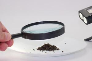 Exploring the intricate details of dry tea leaves with a magnifying glass under bright examination lights photo
