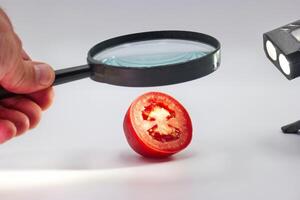 Exploring the details of a sliced red tomato with a magnifying glass in a well lit environment photo
