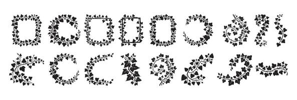 Elegant Black Ivy Vine Silhouette Illustration for Decor vector