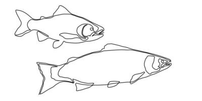 Fish salmon line icon art continuous tuna drawing trout seafood. Salmon fish line simple one hand outline illustration water type food hook linear sea fin pond day sketch silhouette logo ocean. vector