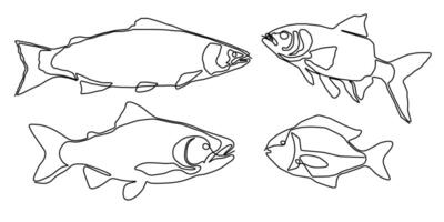 Fish line salmon continuous art icon tuna drawing trout seafood. Salmon line fish one simple hand outline illustration water type food hook linear sea fin pond day sketch silhouette logo ocean. vector