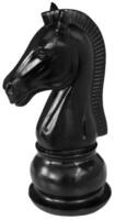 wooden chess piece knight black color, isolated on white background photo