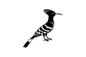 Elegant Hoopoe Bird Illustration with Striking Crest and Curved Beak in Black and White Silhouette Style Isolated on White Background silhouette vector