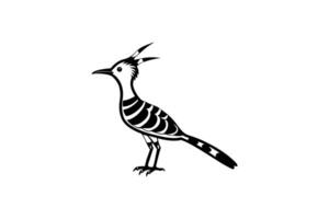 Elegant Hoopoe Bird Illustration with Distinctive Crest and Striped Pattern in Black and White Silhouette Style Isolated on White Background silhouette vector