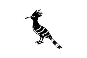 Elegant Hoopoe Bird Illustration with Distinctive Crest and Striped Pattern Presented in a Striking Silhouette Style silhouette black white illustration hoopoe vector