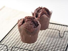 Baked Chocolate Muffins on a black wire cooling rack side view of baked dessert photo