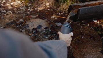 Over shoulder shot. woman gathering fresh mountain spring water with plastic cup, clear stream running through wooden channel, capturing serene moment of outdoor exploration and connection with nature video