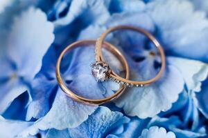 Elegant rings displayed on soft blue hydrangea petals for a romantic atmosphere photo