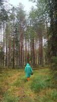 Woman walking through forest with basket of mushrooms in rain, harvesting video